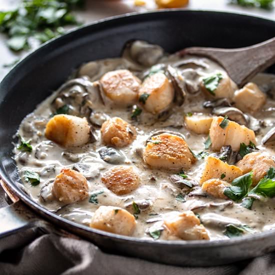 Scallops with Mushroom Sauce - Recipe photo by URBANBAKES
