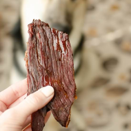 Beef Jerky for Dogs - Recipe photo by fakeginger