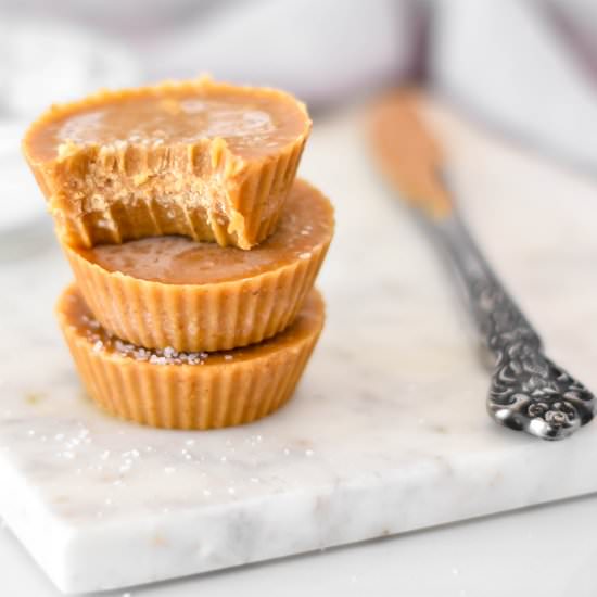 Dairy-Free Peanut Butter Fudge - Recipe photo by FoodborneWellness