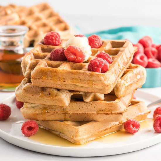 Whole Wheat Waffles - Recipe photo by Tastes of Homemade