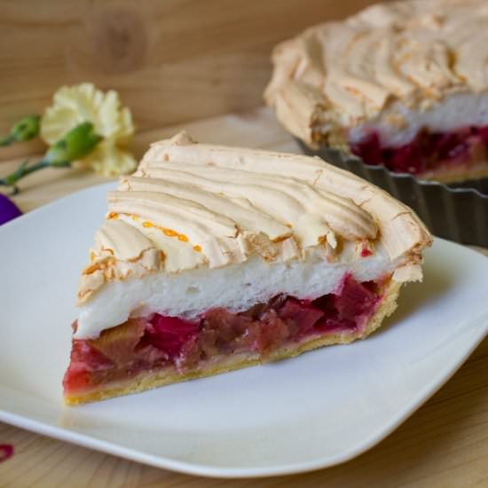 Rhubarb tart - Recipe photo by mecooks.com