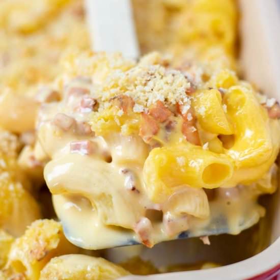 Deluxe Mac and Cheese - Recipe photo by contentednesscooking