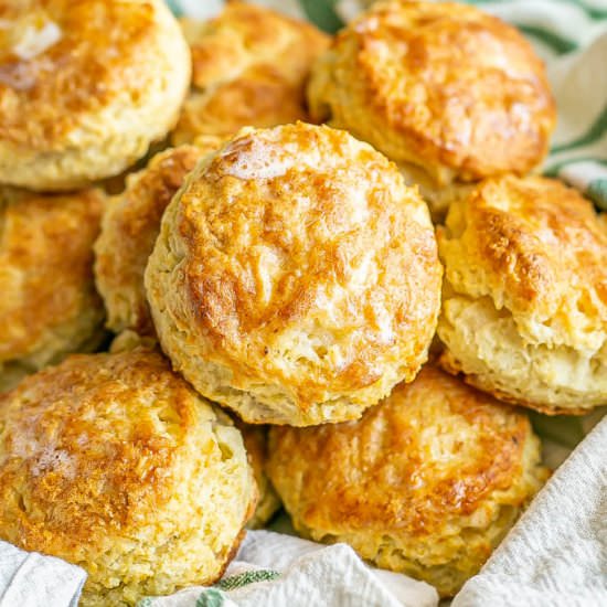 Best Homemade Biscuits - Recipe photo by Family Food on the Table