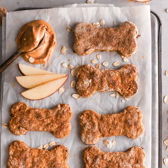 Homemade Peanut Butter Dog Treats - Recipe photo by murmursofricotta