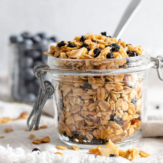 Homemade Blueberry Granola - Recipe photo by thebakersalmanac