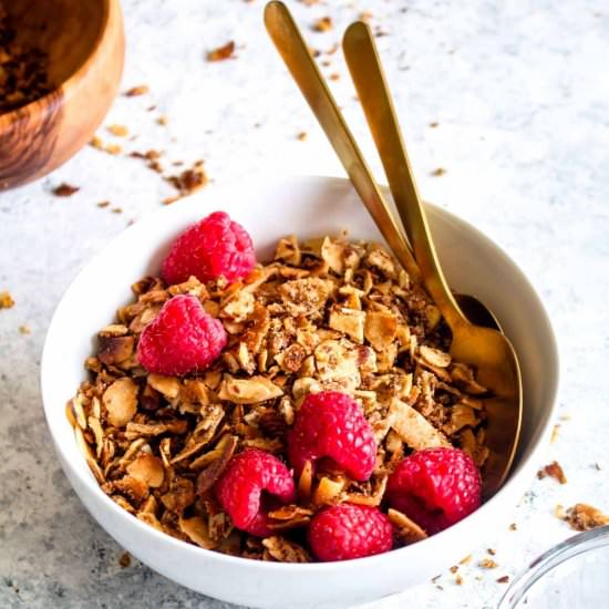 Paleo Coconut Almond Granola - Recipe photo by Darn Good Veggies