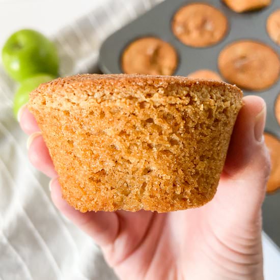 Apple Cinnamon Protein Muffins - Recipe photo by Sugarylogic