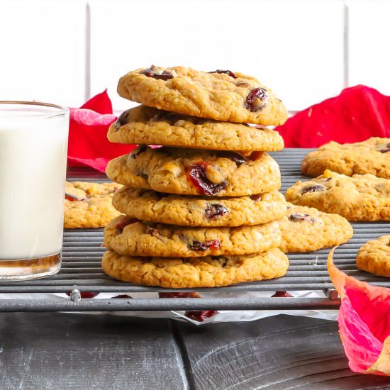 Graham Cracker Cranberry Cookies - Recipe photo by Cinnamon Shtick