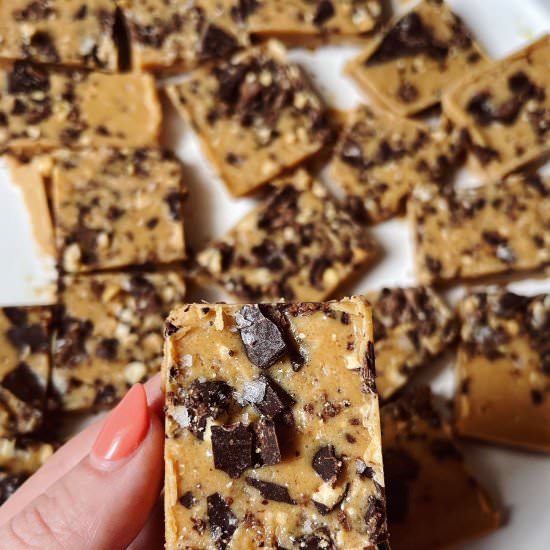 Frozen Peanut Butter Fudge Bars - Recipe photo by HungryBlonde