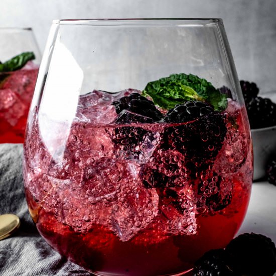 vanilla blackberry shrub - Recipe photo by whisked away kitchen