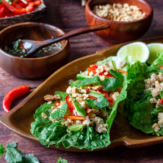Healthy Chicken Lettuce Wraps - Recipe photo by Healthy World Cuisine