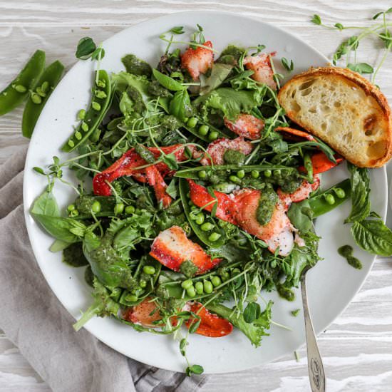 Best Lobster Salad - Recipe photo by jennyrawn
