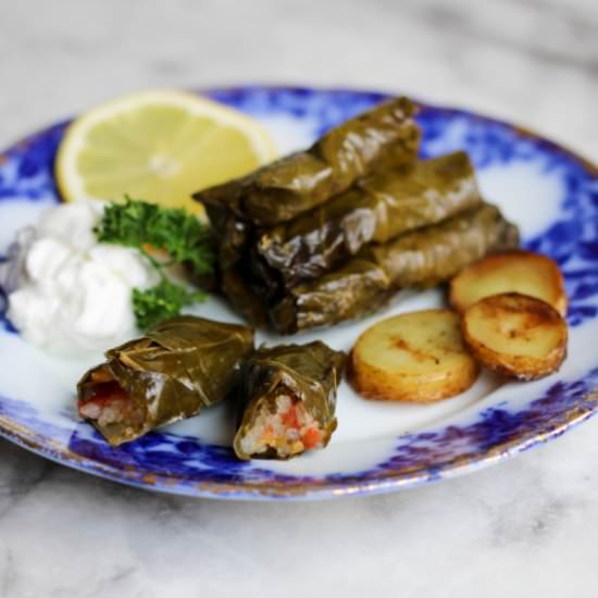 Dawali – Vegan Stuffed Grape Leaves - Recipe photo by TaraSVD0