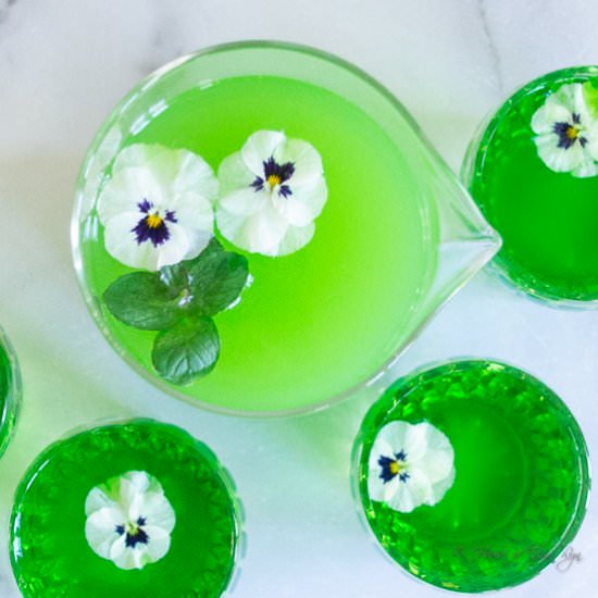 Green Punch - Recipe photo by House of Elyn Ryn