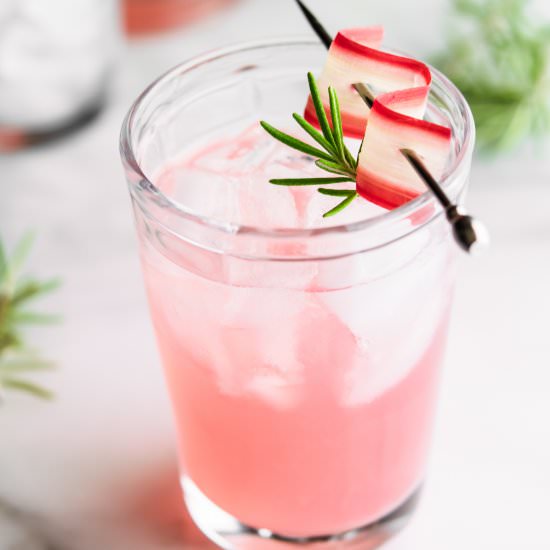 Rhubarb Cocktail - Recipe photo by PinchandSwirl
