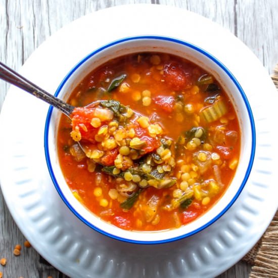 Panera 10 Vegetable Soup - Recipe photo by dwellbymichelle