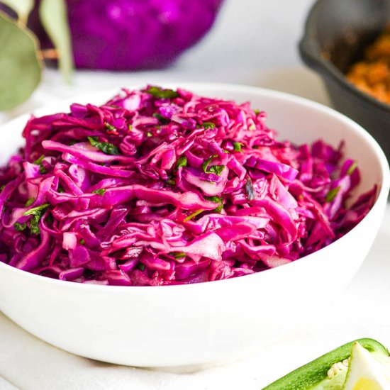 Cilantro Lime Red Cabbage Slaw - Recipe photo by earthly provisions