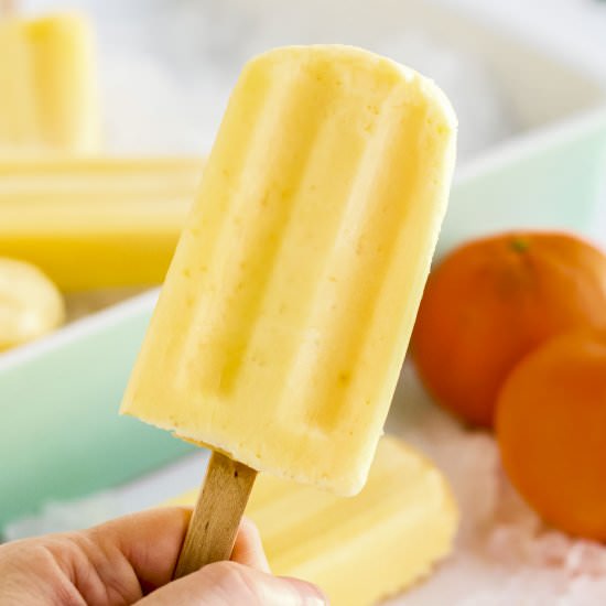 Orange Creamsicle Popsicles - Recipe photo by Went Here 8 This