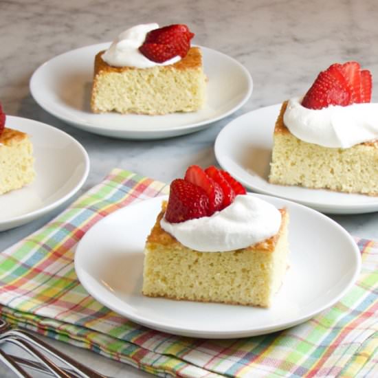Tres Leches Cake - Recipe photo by thebrookcook.wordpress.com