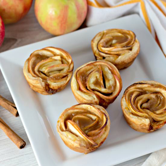 apple pie rose tarts - Recipe photo by hillcitybride