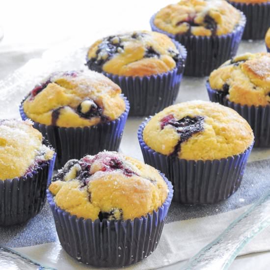 Buttermilk Blueberry Muffins - Recipe photo by House of Elyn Ryn