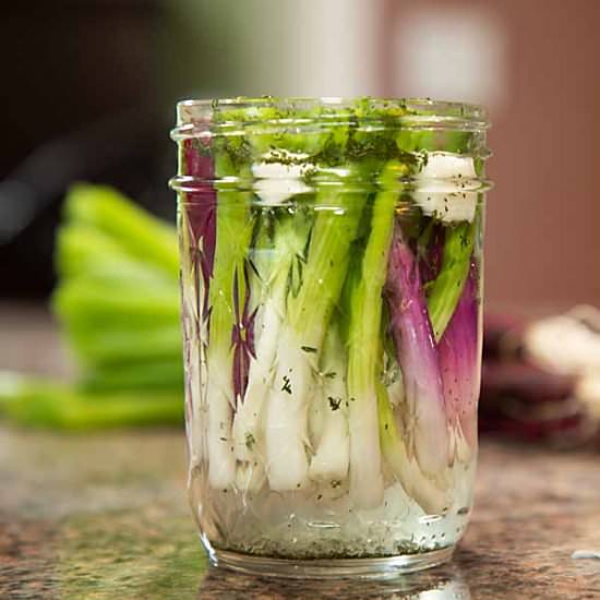 Quick Pickled Scallions - Recipe photo by iwilkerson