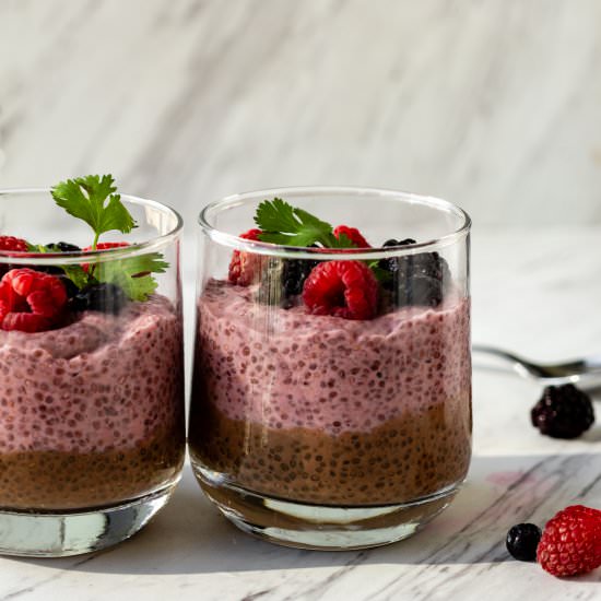 Chocolate Raspberry Chia Pudding - Recipe photo by Shana_Thomas