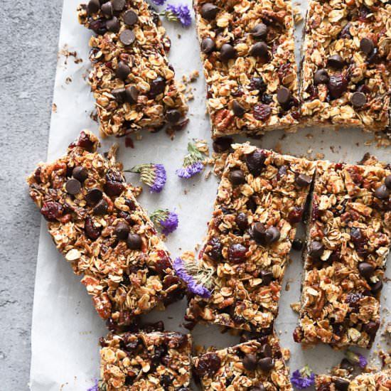 Chewy Granola Bars - Recipe photo by butternutandsage
