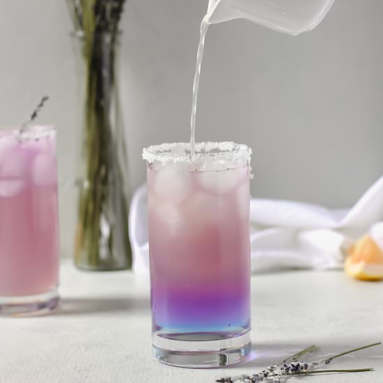 Lavender Paloma Cocktail - Recipe photo by Butternut Lane