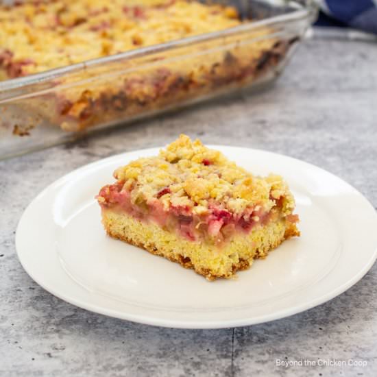 Rhubarb Crumb Bars - Recipe photo by BeyondtheCoop