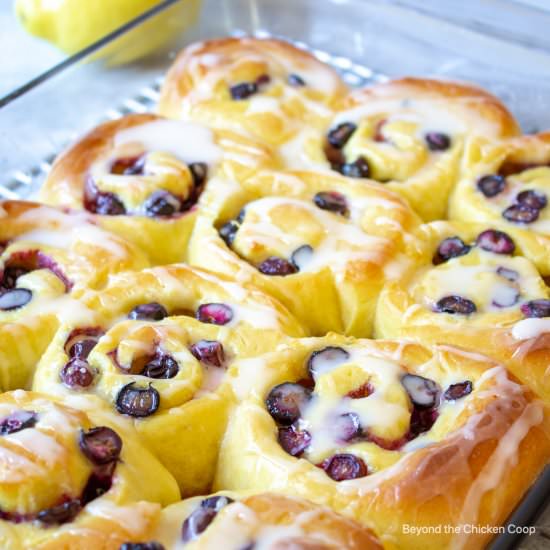 Blueberry Lemon Sweet Rolls - Recipe photo by BeyondtheCoop