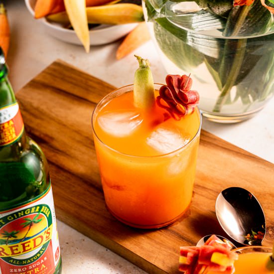 Carrot Moscow Mule - Recipe photo by leisurefanclub