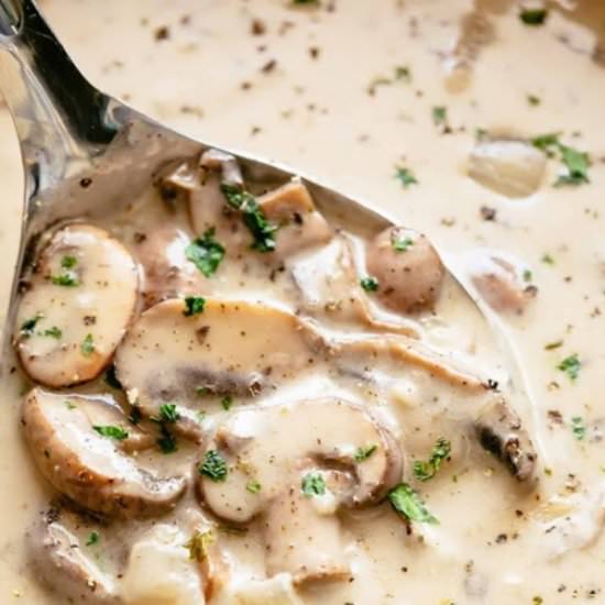 Cream of mushroom soup - Recipe photo by DeliciousReci