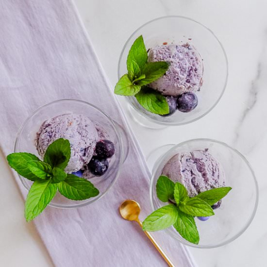 Blueberry Ice Cream - Recipe photo by House of Elyn Ryn
