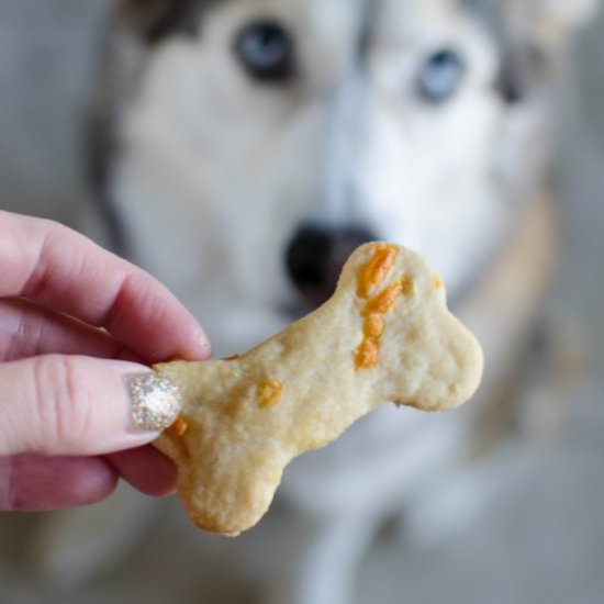 Bacon Cheddar Dog Treats - Recipe photo by fakeginger