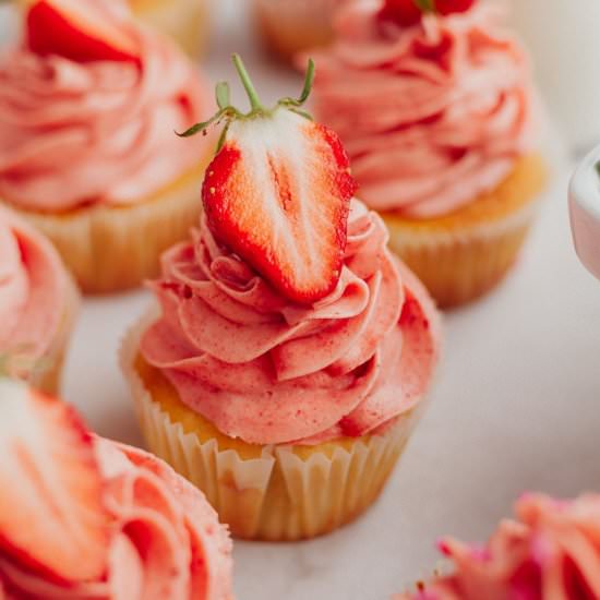 Strawberry Filled Cupcakes - Recipe photo by alpineella