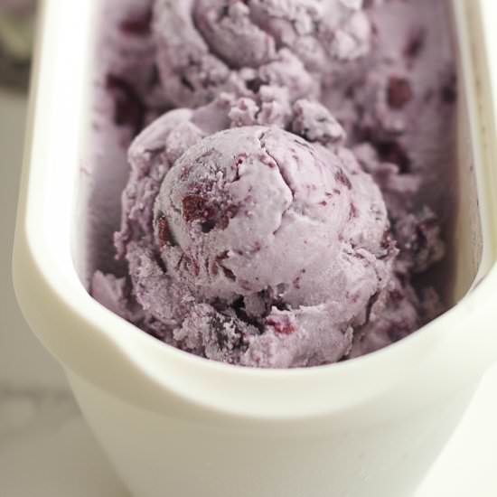 Blueberry Ice Cream Recipe - Recipe photo by suebeehomemaker
