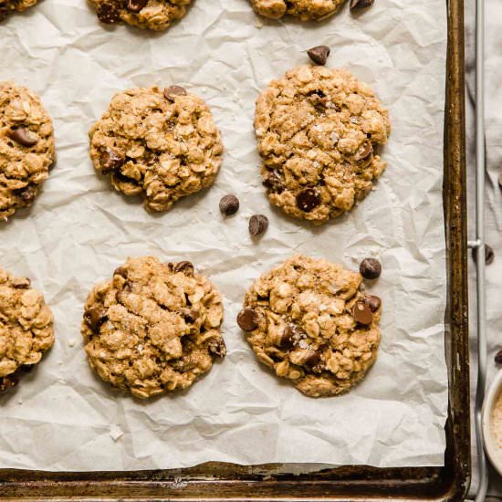 The Bet Lactation Cookies - Recipe photo by Jar Of Lemons