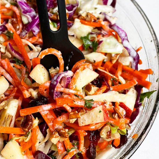 Apple Coleslaw - Recipe photo by 1PotRecipes