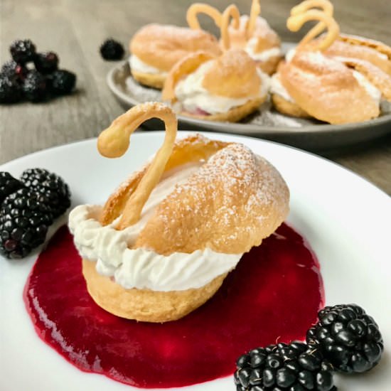 Vegan Choux Swans - Recipe photo by littlelighthousebaking