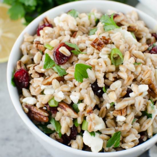 Farro SaladFarro Salad with Cranber - Recipe photo by fakeginger