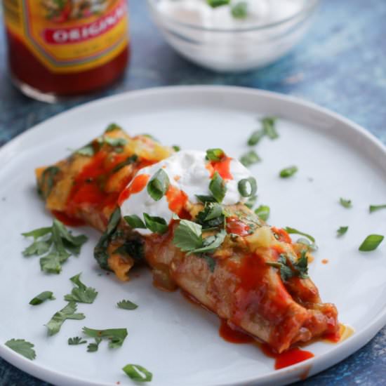 Low Carb Beef Enchiladas - Recipe photo by lesyaholzapfel