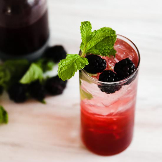 Blackberry Mint Shrub Cocktail - Recipe photo by Casual Mixologist