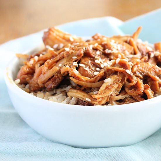 Hoisen Pork - Recipe photo by countertopcooking