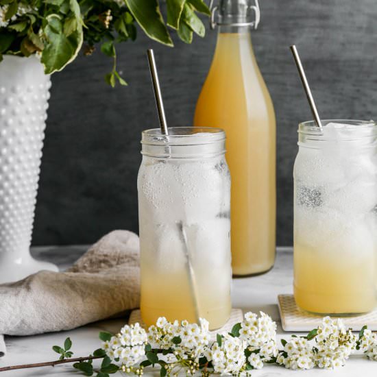 Instant Pot Ginger Ale Syrup - Recipe photo by smallfarmbiglife