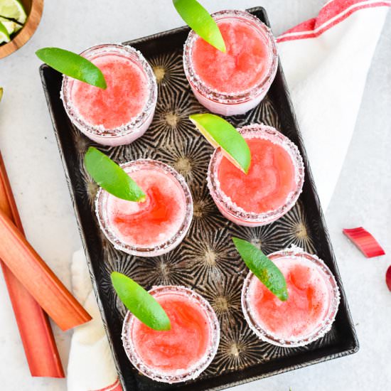 Strawberry Rhubarb Frozen Margarita - Recipe photo by homesweetfarmhome