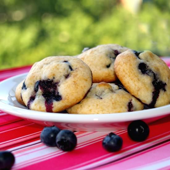 Blueberry Cookies - Recipe photo by Cooking and Cooking