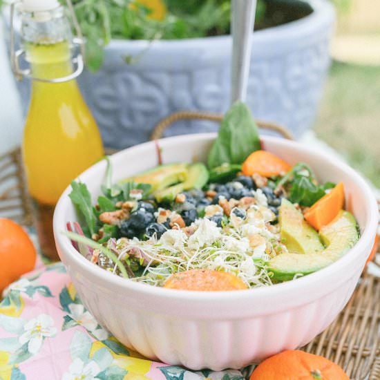 Blueberry Pecan & Goat Cheese Salad - Recipe photo by simplytaralynn