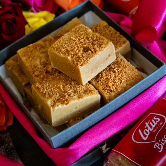 Lotus Biscoff fudge - Recipe photo by ellasbetterbakes