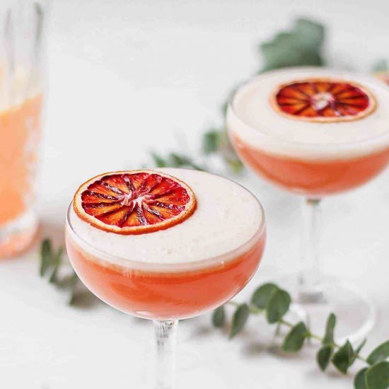 Blood Orange Vodka Sour - Recipe photo by barleyandsage